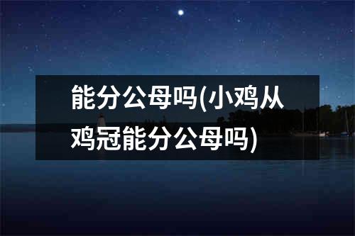 能分公母吗(小鸡从鸡冠能分公母吗)