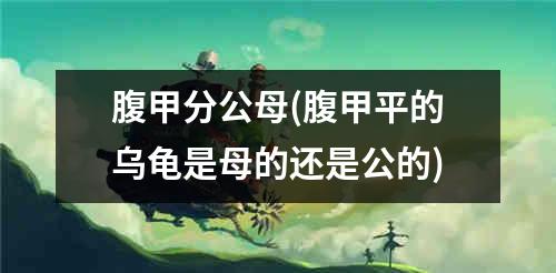 腹甲分公母(腹甲平的乌龟是母的还是公的)