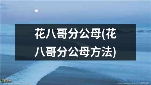 花八哥分公母(花八哥分公母方法)