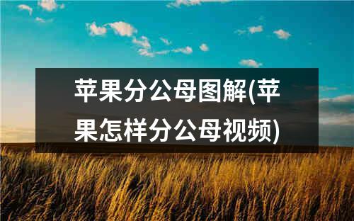 苹果分公母图解(苹果怎样分公母视频)