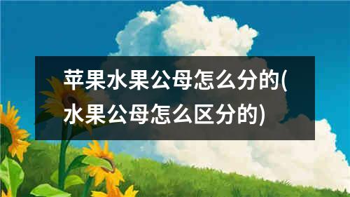 苹果水果公母怎么分的(水果公母怎么区分的)