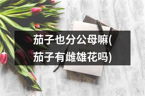 茄子也分公母嘛(茄子有雌雄花吗)