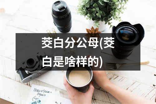 茭白分公母(茭白是啥样的)