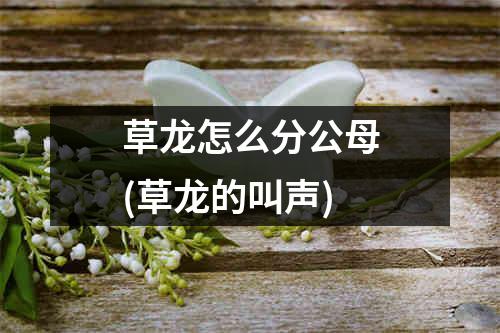 草龙怎么分公母(草龙的叫声)