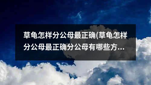 草龟怎样分公母最正确(草龟怎样分公母最正确分公母有哪些方法图片)