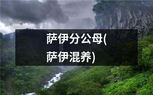 萨伊分公母(萨伊混养)