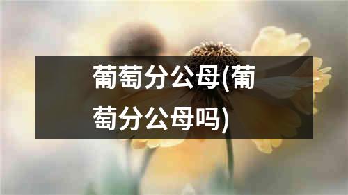 葡萄分公母(葡萄分公母吗)