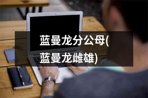 蓝曼龙分公母(蓝曼龙雌雄)