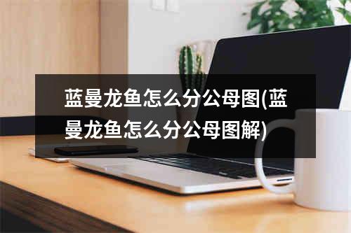 蓝曼龙鱼怎么分公母图(蓝曼龙鱼怎么分公母图解)