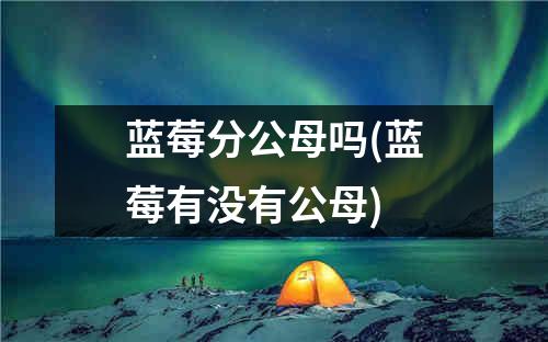 蓝莓分公母吗(蓝莓有没有公母)