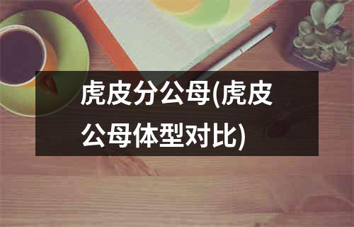 虎皮分公母(虎皮公母体型对比)