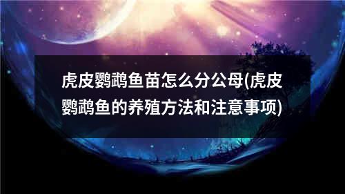 虎皮鹦鹉鱼苗怎么分公母(虎皮鹦鹉鱼的养殖方法和注意事项)