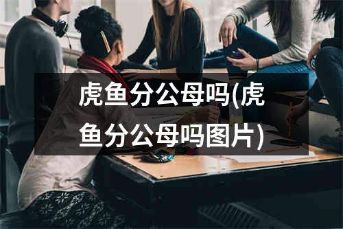 虎鱼分公母吗(虎鱼分公母吗图片)