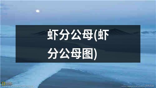 虾分公母(虾分公母图)