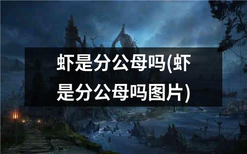 虾是分公母吗(虾是分公母吗图片)