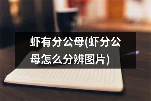 虾有分公母(虾分公母怎么分辨图片)