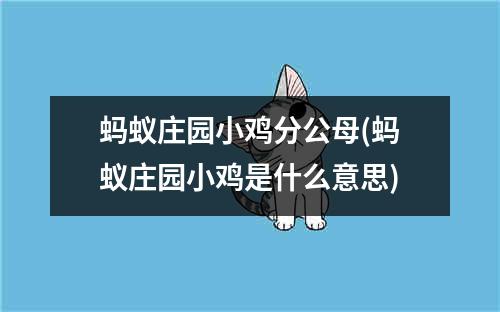 蚂蚁庄园小鸡分公母(蚂蚁庄园小鸡是什么意思)