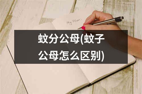 蚊分公母(蚊子公母怎么区别)