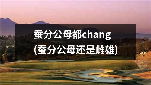 蚕分公母都chang(蚕分公母还是雌雄)