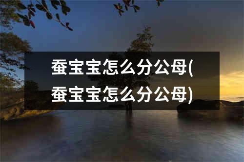 蚕宝宝怎么分公母(蚕宝宝怎么分公母)