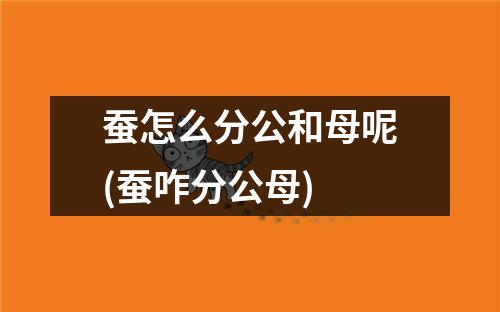 蚕怎么分公和母呢(蚕咋分公母)