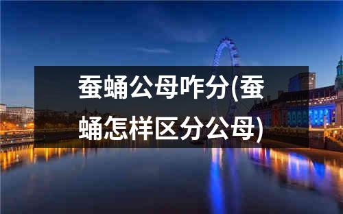 蚕蛹公母咋分(蚕蛹怎样区分公母)