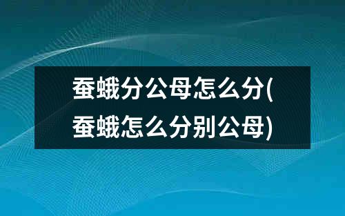 蚕蛾分公母怎么分(蚕蛾怎么分别公母)