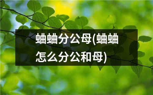 蛐蛐分公母(蛐蛐怎么分公和母)