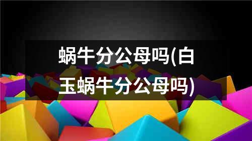 蜗牛分公母吗(白玉蜗牛分公母吗)