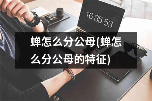 蝉怎么分公母(蝉怎么分公母的特征)