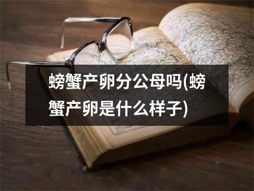 螃蟹产卵分公母吗(螃蟹产卵是什么样子)