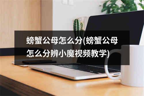 螃蟹公母怎么分(螃蟹公母怎么分辨小魔视频教学)