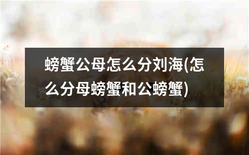 螃蟹公母怎么分刘海(怎么分母螃蟹和公螃蟹)