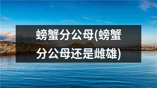 螃蟹分公母(螃蟹分公母还是雌雄)