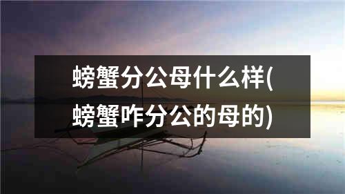 螃蟹分公母什么样(螃蟹咋分公的母的)