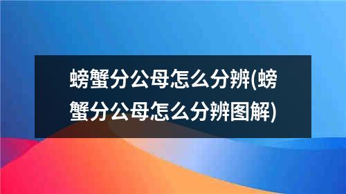 螃蟹分公母怎么分辨(螃蟹分公母怎么分辨图解)