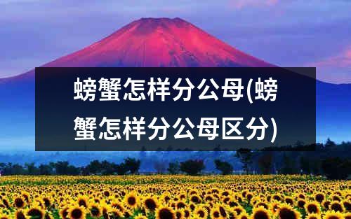 螃蟹怎样分公母(螃蟹怎样分公母区分)