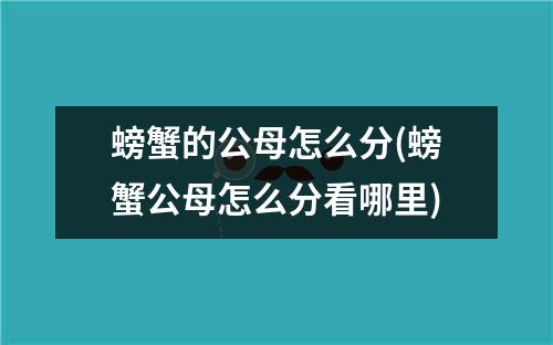 螃蟹的公母怎么分(螃蟹公母怎么分看哪里)