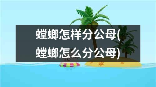 螳螂怎样分公母(螳螂怎么分公母)