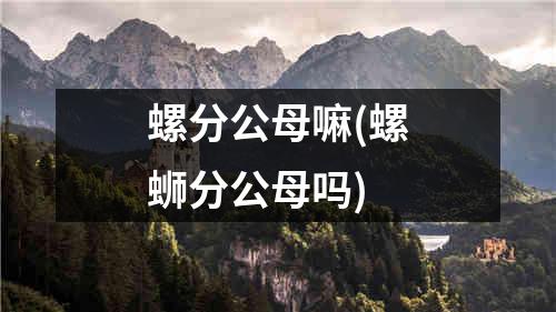 螺分公母嘛(螺蛳分公母吗)