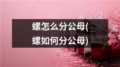 螺怎么分公母(螺如何分公母)