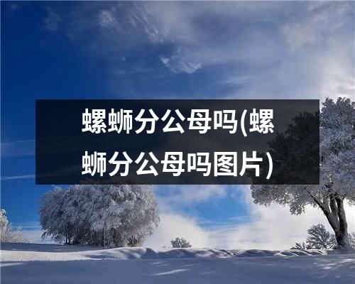 螺蛳分公母吗(螺蛳分公母吗图片)