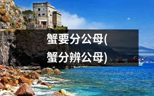 蟹要分公母(蟹分辨公母)