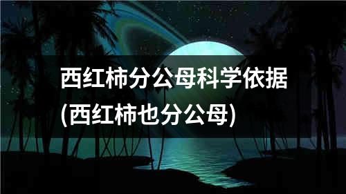 西红柿分公母科学依据(西红柿也分公母)