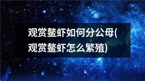 观赏鳌虾如何分公母(观赏鳌虾怎么繁殖)