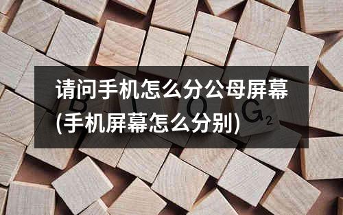 请问手机怎么分公母屏幕(手机屏幕怎么分别)