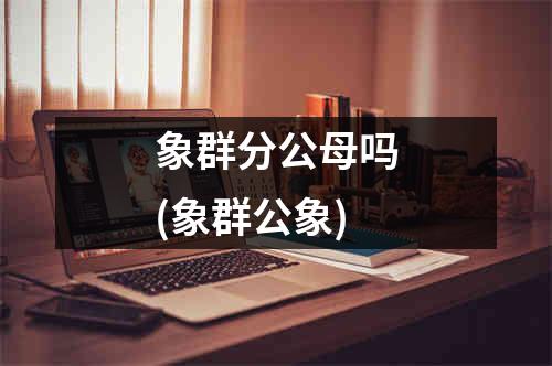 象群分公母吗(象群公象)