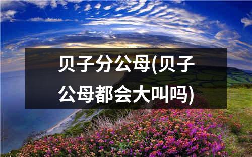 贝子分公母(贝子公母都会大叫吗)