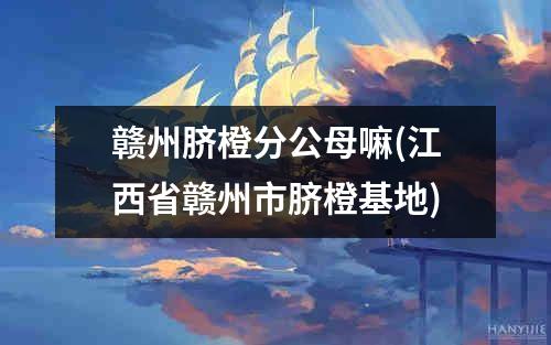 赣州脐橙分公母嘛(江西省赣州市脐橙基地)