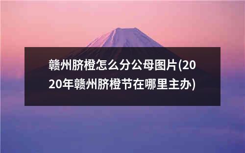 赣州脐橙怎么分公母图片(2020年赣州脐橙节在哪里主办)